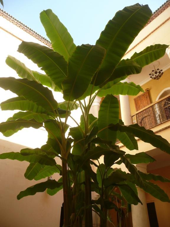 Riad Ker Saada Marrakesh Exterior foto
